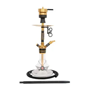 Amy SS26.02 SS26.02 Carbonica Solid S Goud - zwart - Transparant